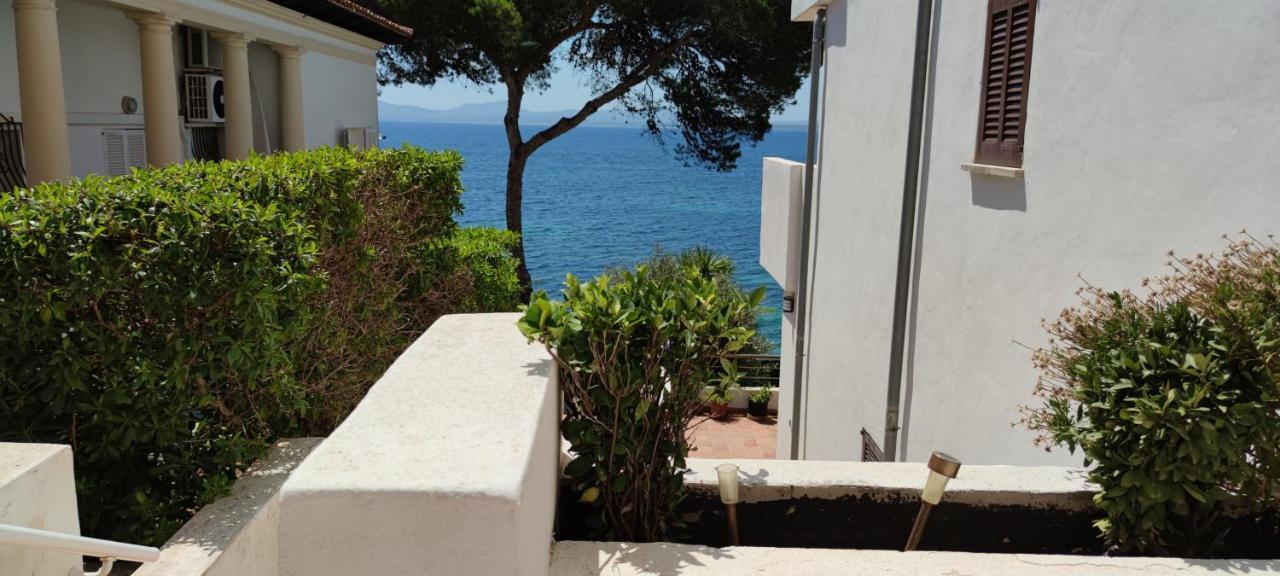 Blau Cel Apartment Alcudia  Ngoại thất bức ảnh